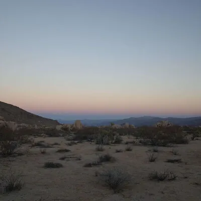 Joshua Tree, CA